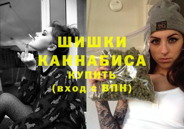мдма Новодвинск