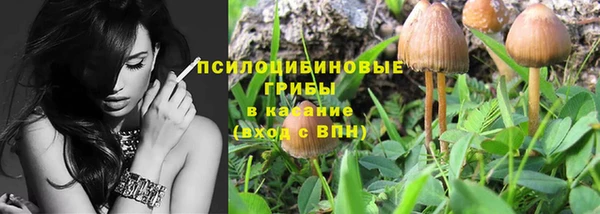 бошки Абинск